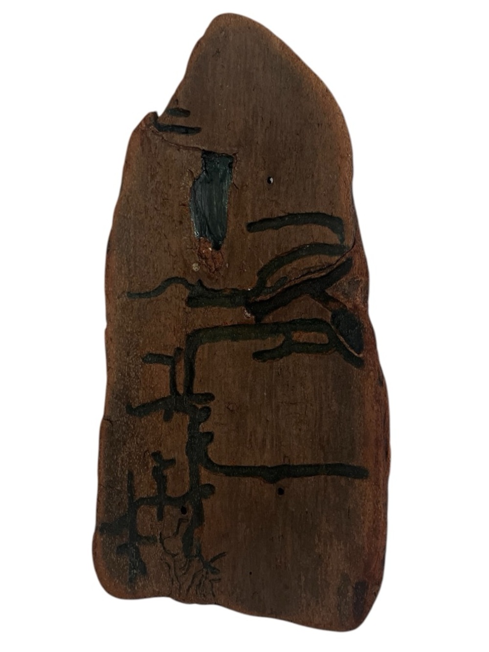 One of a Kind Vancouver Island Driftwood Art - wall decor